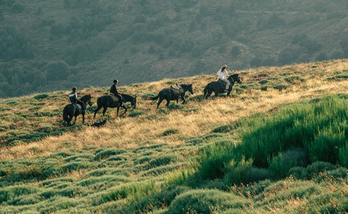 LRRD-Boucle Mont Lozère